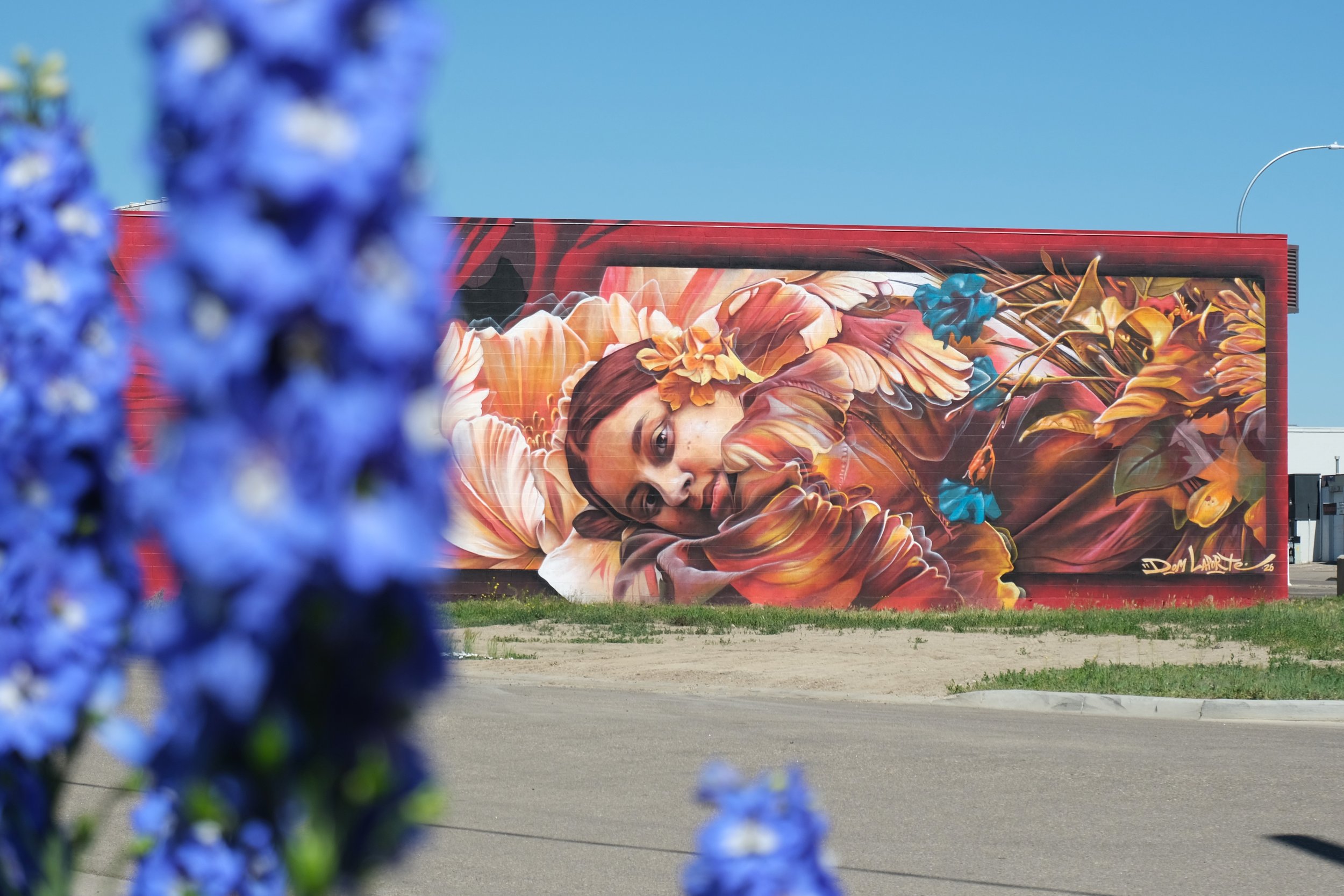 DSCF0853.JPG