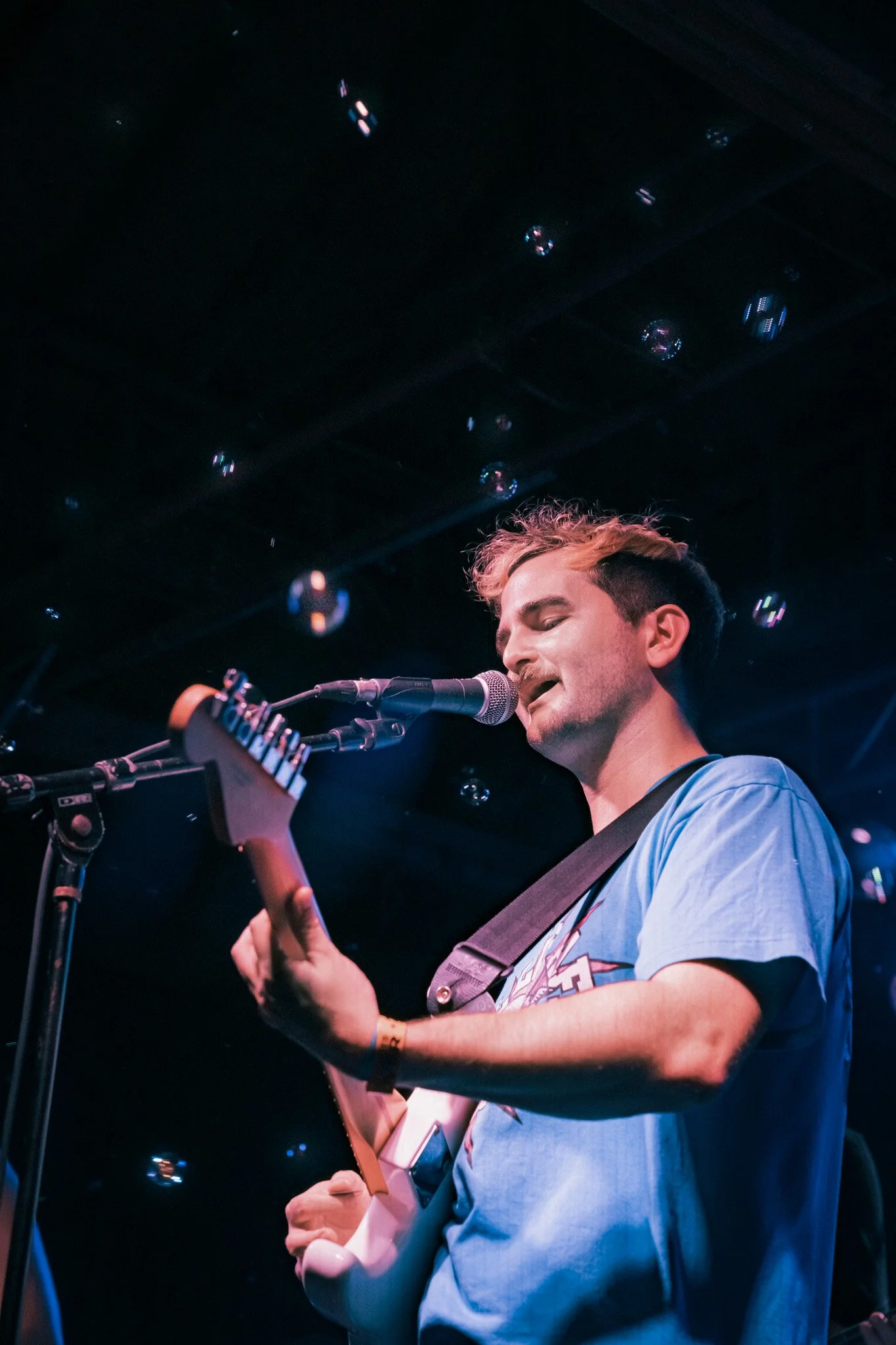 FetchTiger-18.jpg