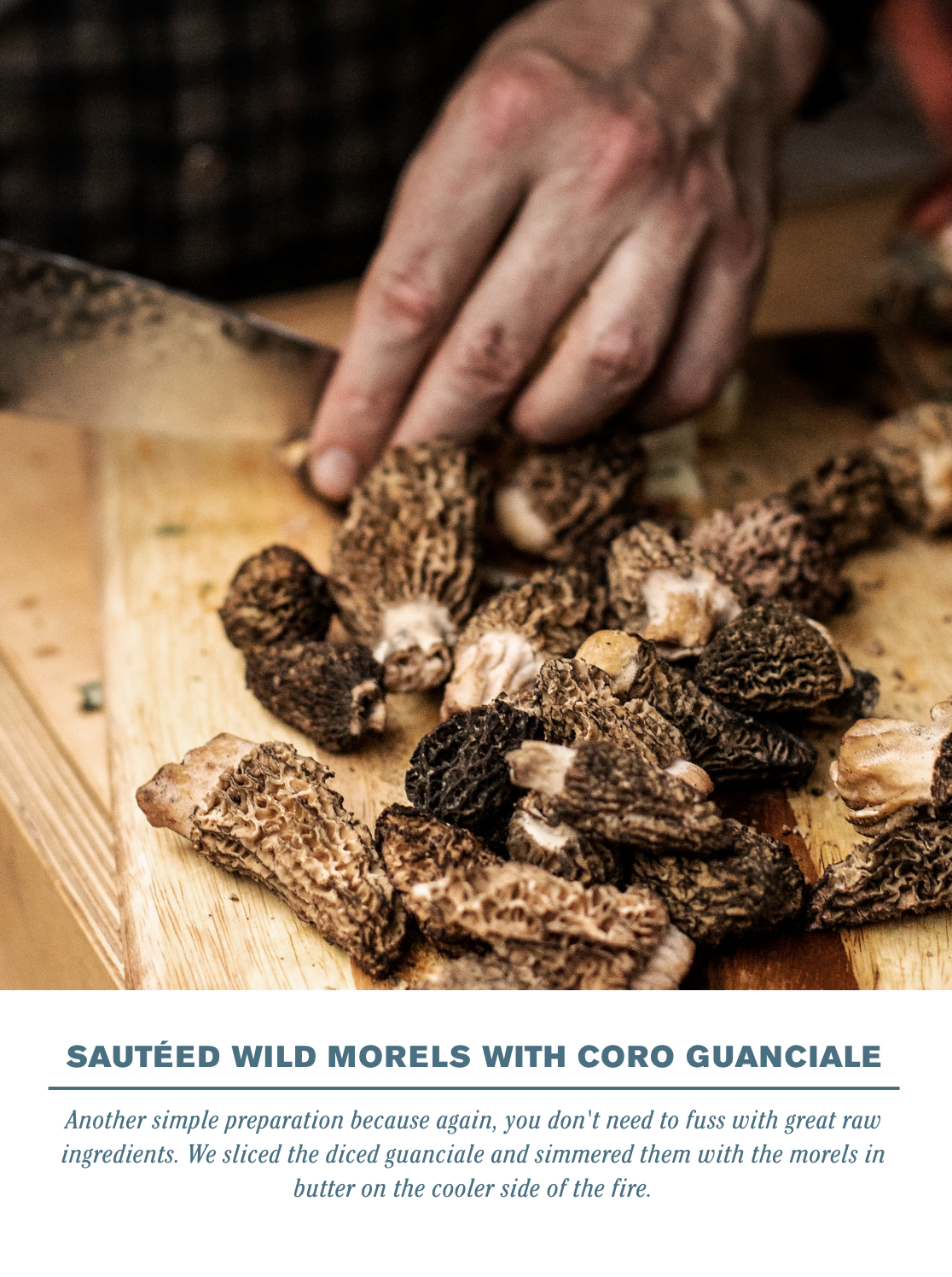  SAUTÉED WILD MORELS WITH CORO GUANCIALE    Another simple preparation because again, you don’t need to fuss with great raw ingredients. We sliced the diced guanciale and simmered them with the morels in butter on the cooler side of the fire. 
