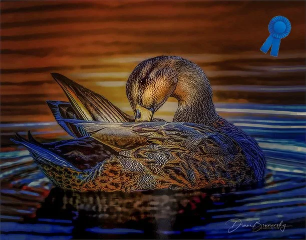 Diane Brunovsky "On Golden Pond" Blue Ribbon Ribbon FCCC 3rd Triannual Digital Competition (Digital Interpretive)
