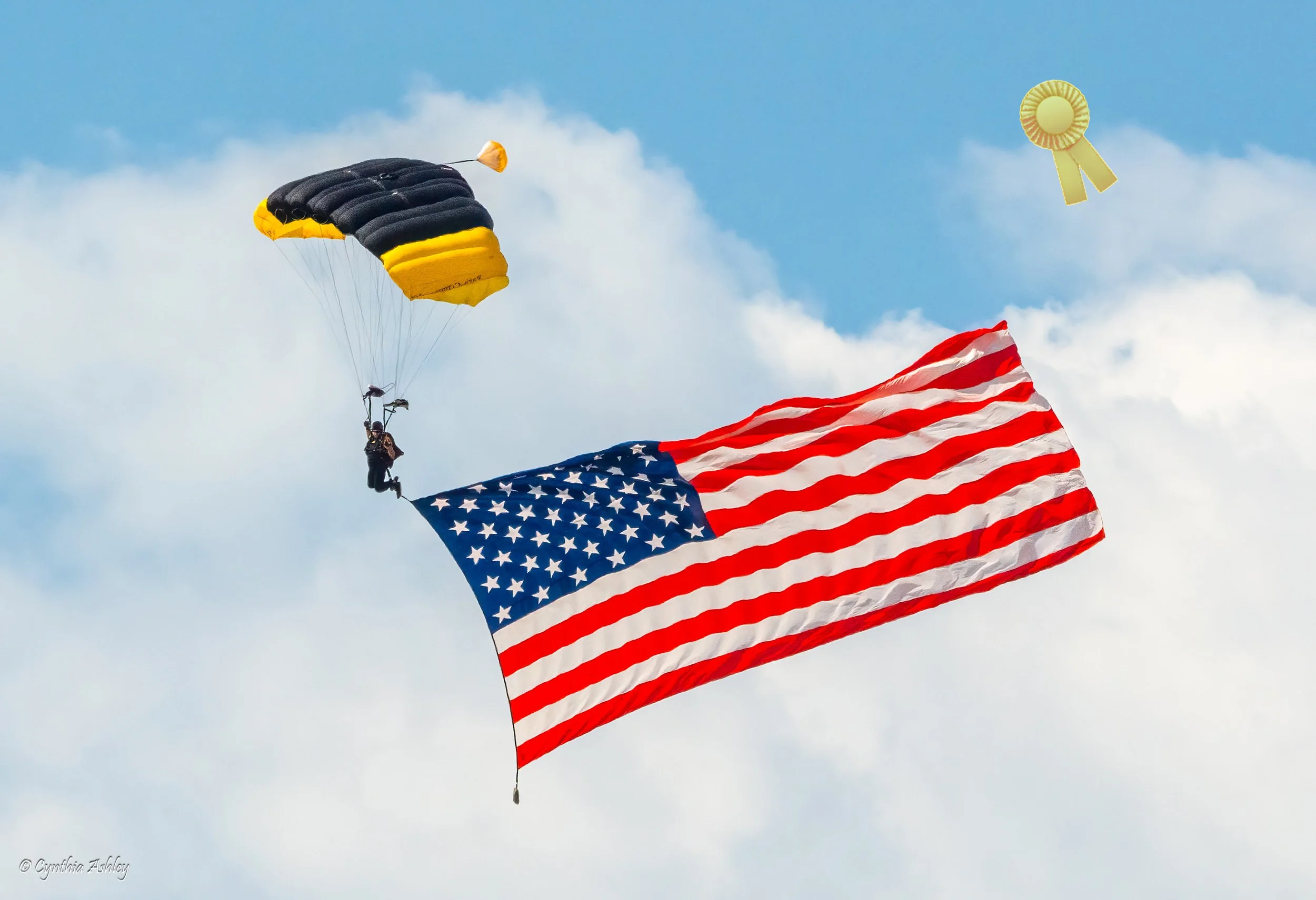 Cindy Ashley "Flag of Freedom" F3C 2nd Triannual Print Competition, Yellow Ribbon Color