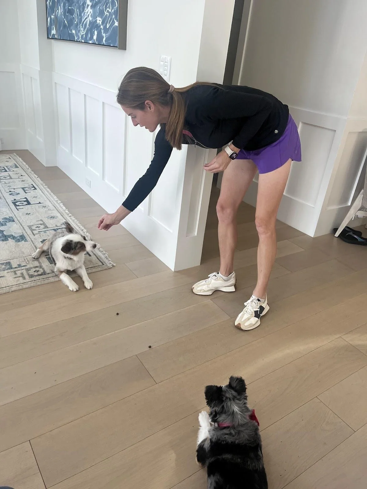 A woman with brown hair tied back, wearing a black long-sleeve shirt, purple shorts, and sneakers, is leaning forward and reaching out her hand towards a small, white and gray puppy sitting on a tiled floor near a white wall. There is a partially visible black and gray puppy sitting on the wooden floor in front of her, facing the woman. A patterned rug and a wall with a water-themed painting are also visible.