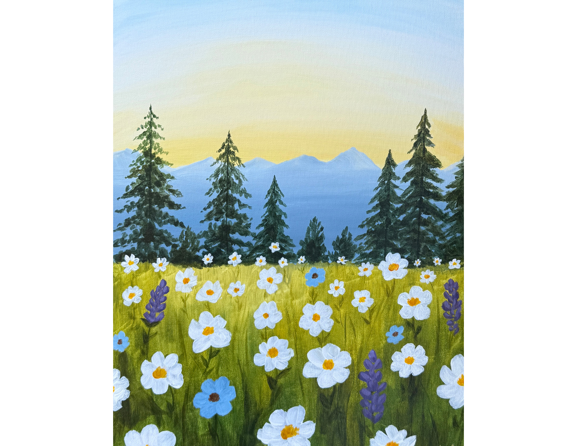 Curtis Canyon Wildflowers white background.png