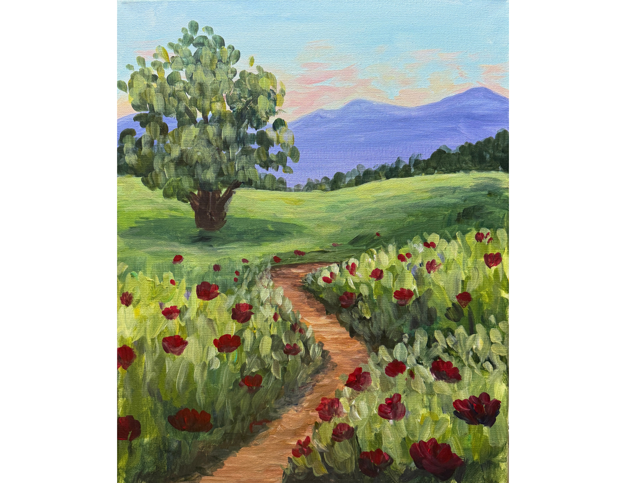 Poppy Path white background.png