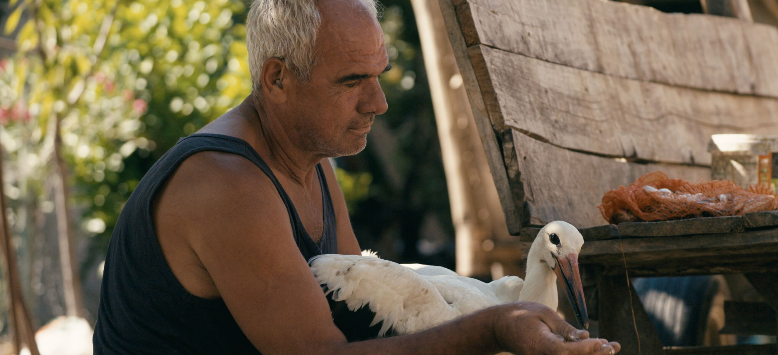 The Tale of Silyan: in simbiosi con la natura