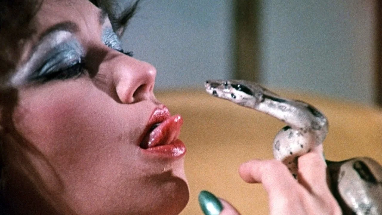 Culto e cultura degli organi in azione – 9 Lives of a Wet Pussy, The Devil in Miss Jones e Harlot