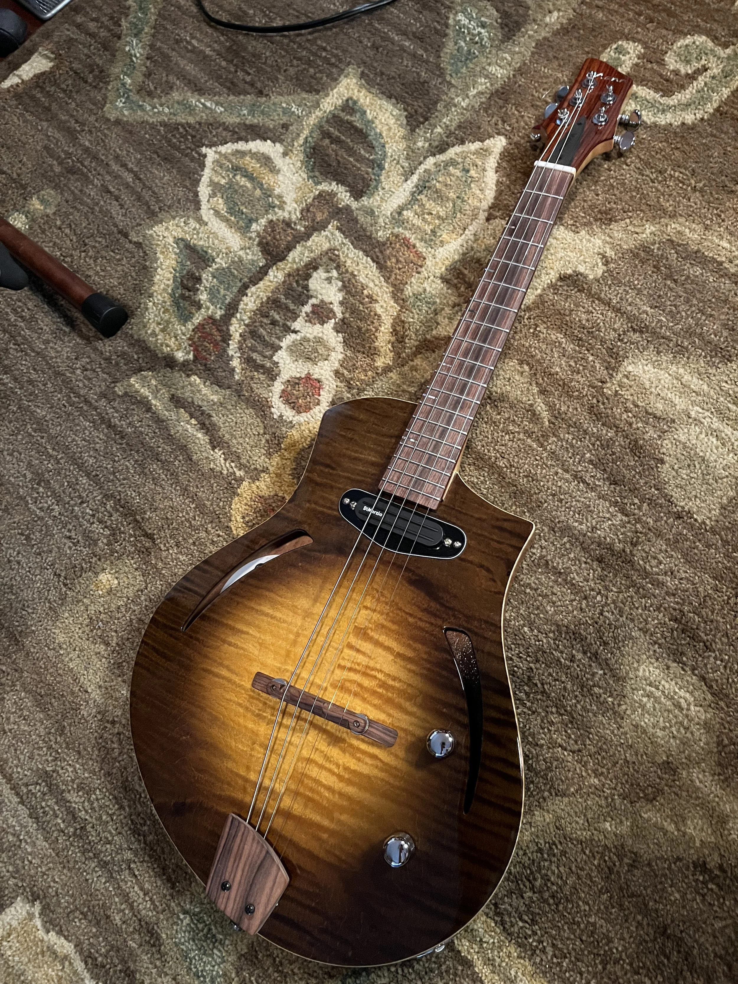 Mann Raven-Mandolin/Mandola front view.