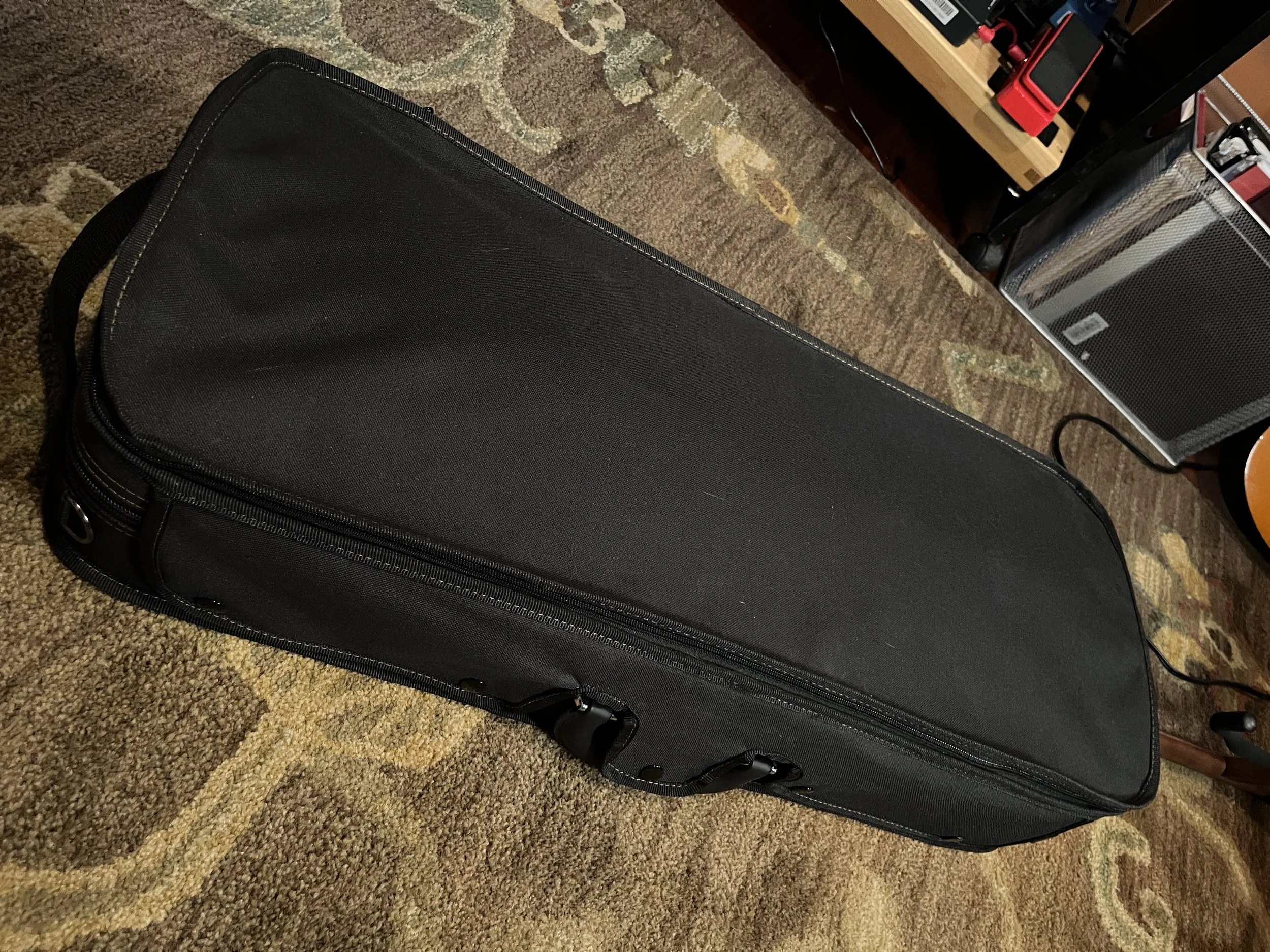 Eastman 715 Mandolin closed inside it's included case with zip and magnetic closure.  (2024, #6 of 15, original run)