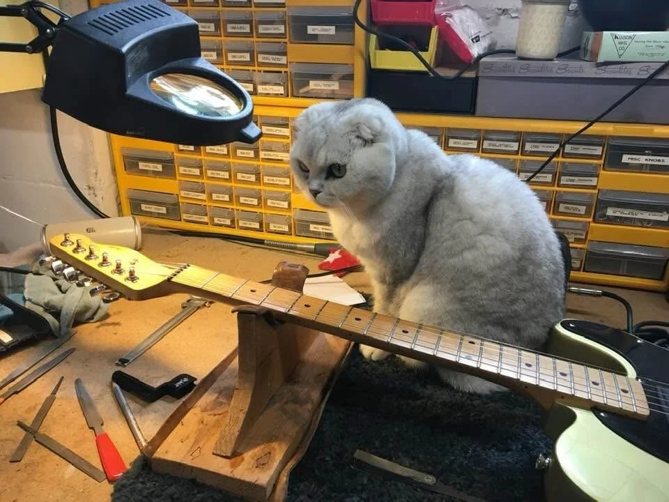My late apprentice Boodle in 2019. She was a good helper. Anyone know whose Tele this is? I can&rsquo;t remember.