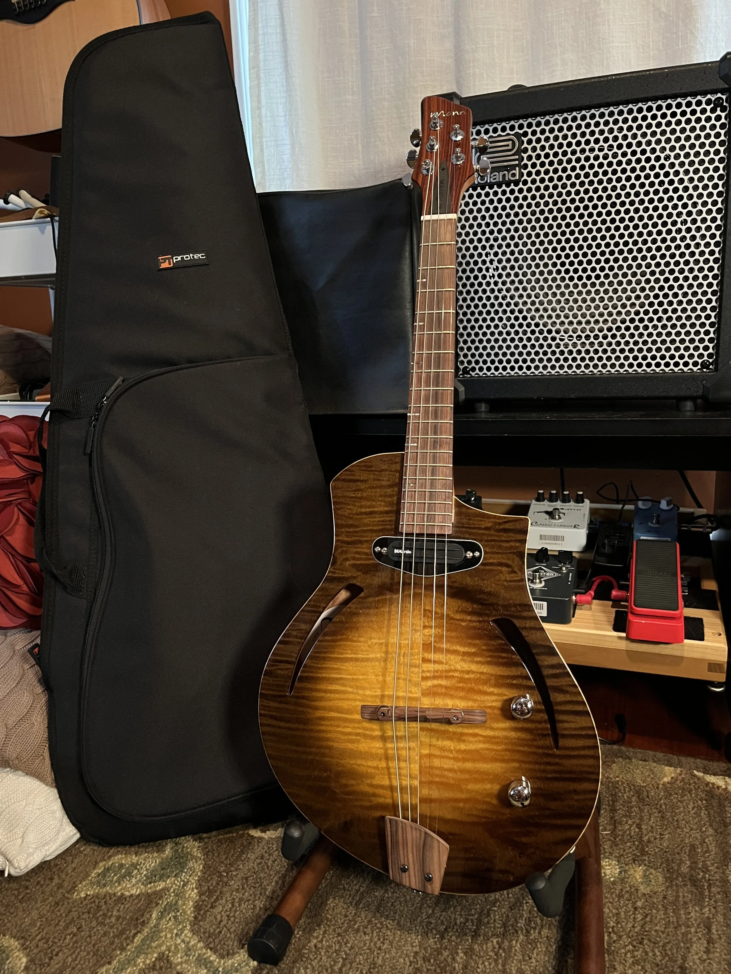Mann Raven-Mandolin/Mandola on a stand with other music equipment.