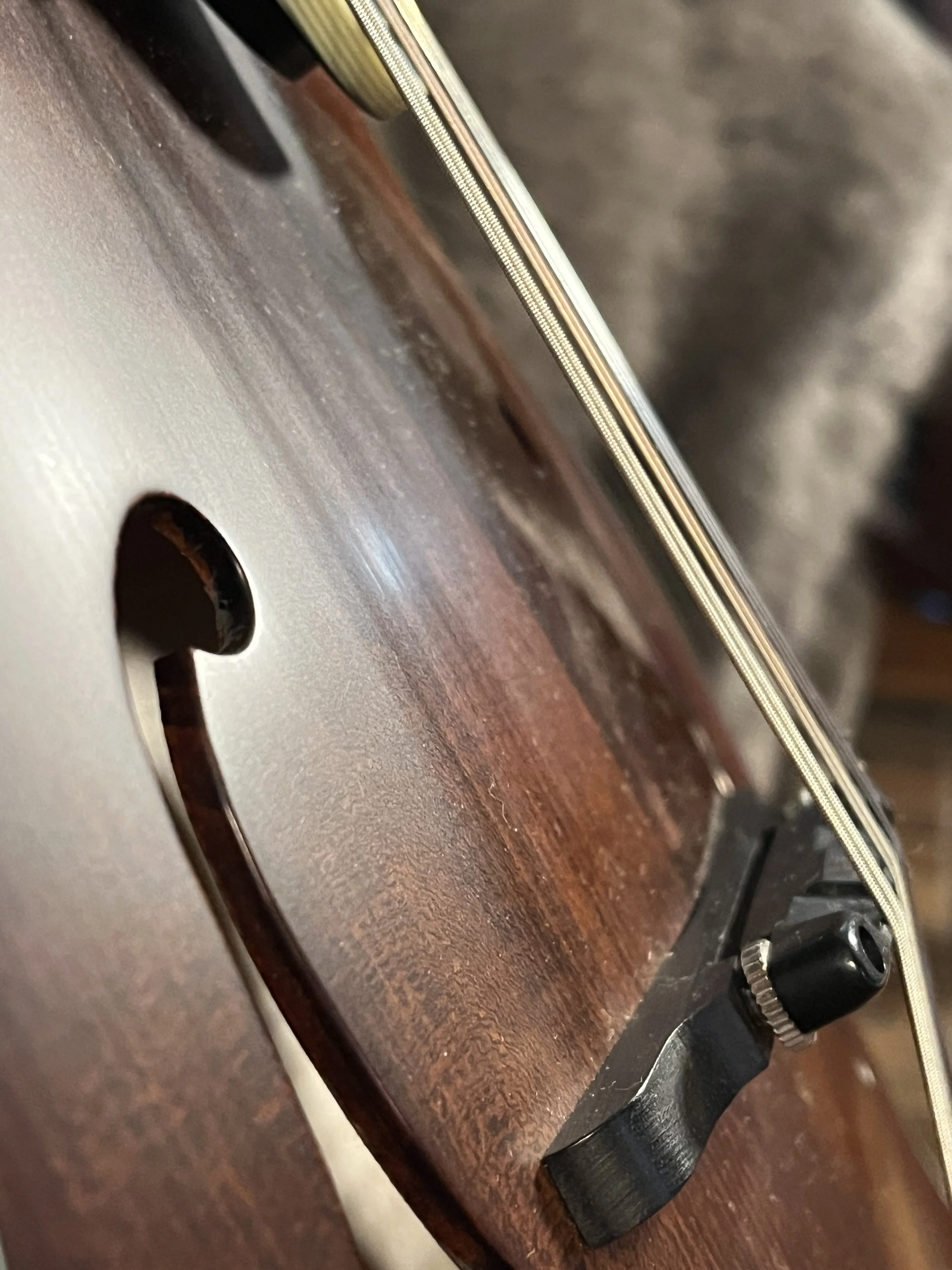Eastman 715 Mandolin detailed view of belly, bridge, and f-hole.  (2024, #6 of 15, original run)