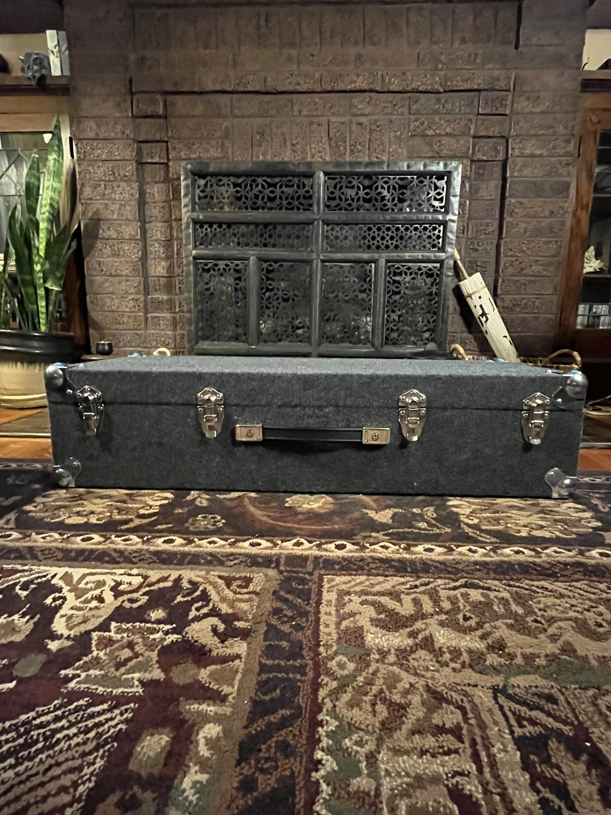 Emmons Resound'65 S10 Pedal Steel hard shell storage case.