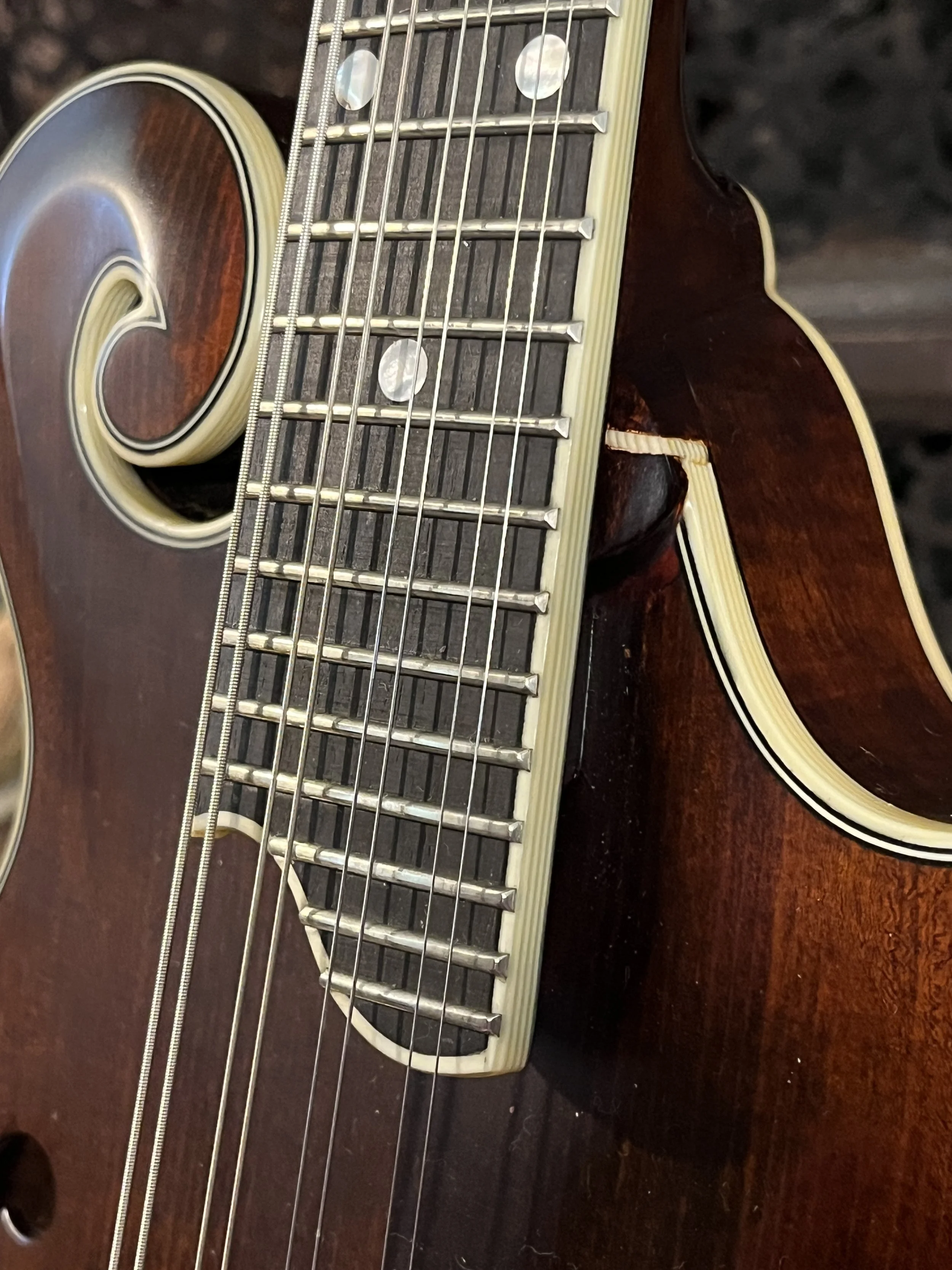 Eastman 715 Mandolin detail shot of fingerboard extension, scroll, and binding.  (2024, #6 of 15, original run)