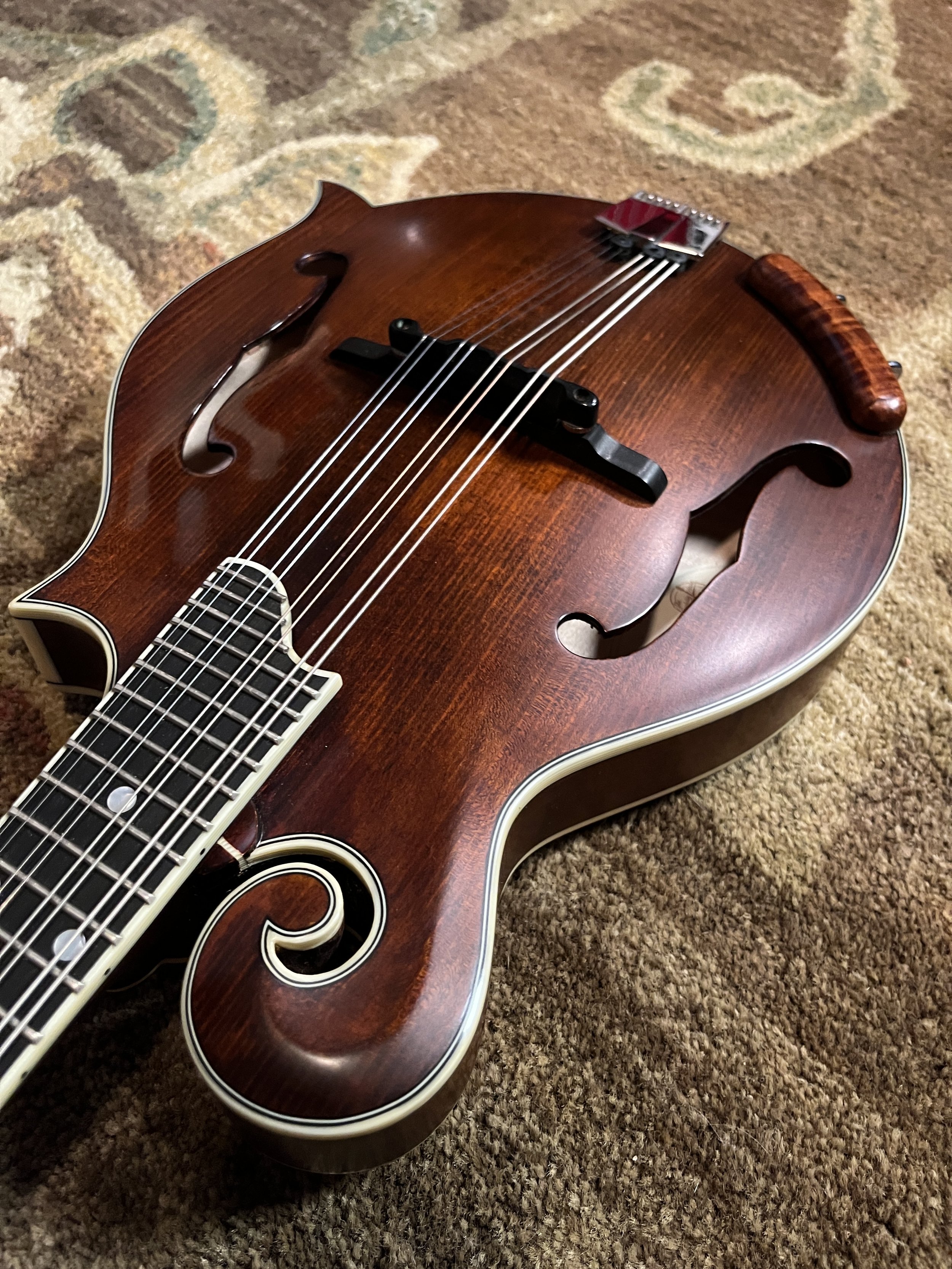 Eastman 715 Mandolin pictured from the scroll point, looking at the body.(2024, #6 of 15, original run)