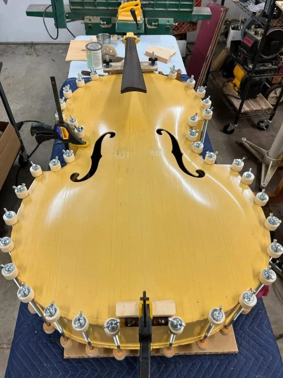 1961 Epiphone upright/standing/double bass during glue-up of its top. The top had caved in due to negligence and had to be removed, reshaped, and re-glued.