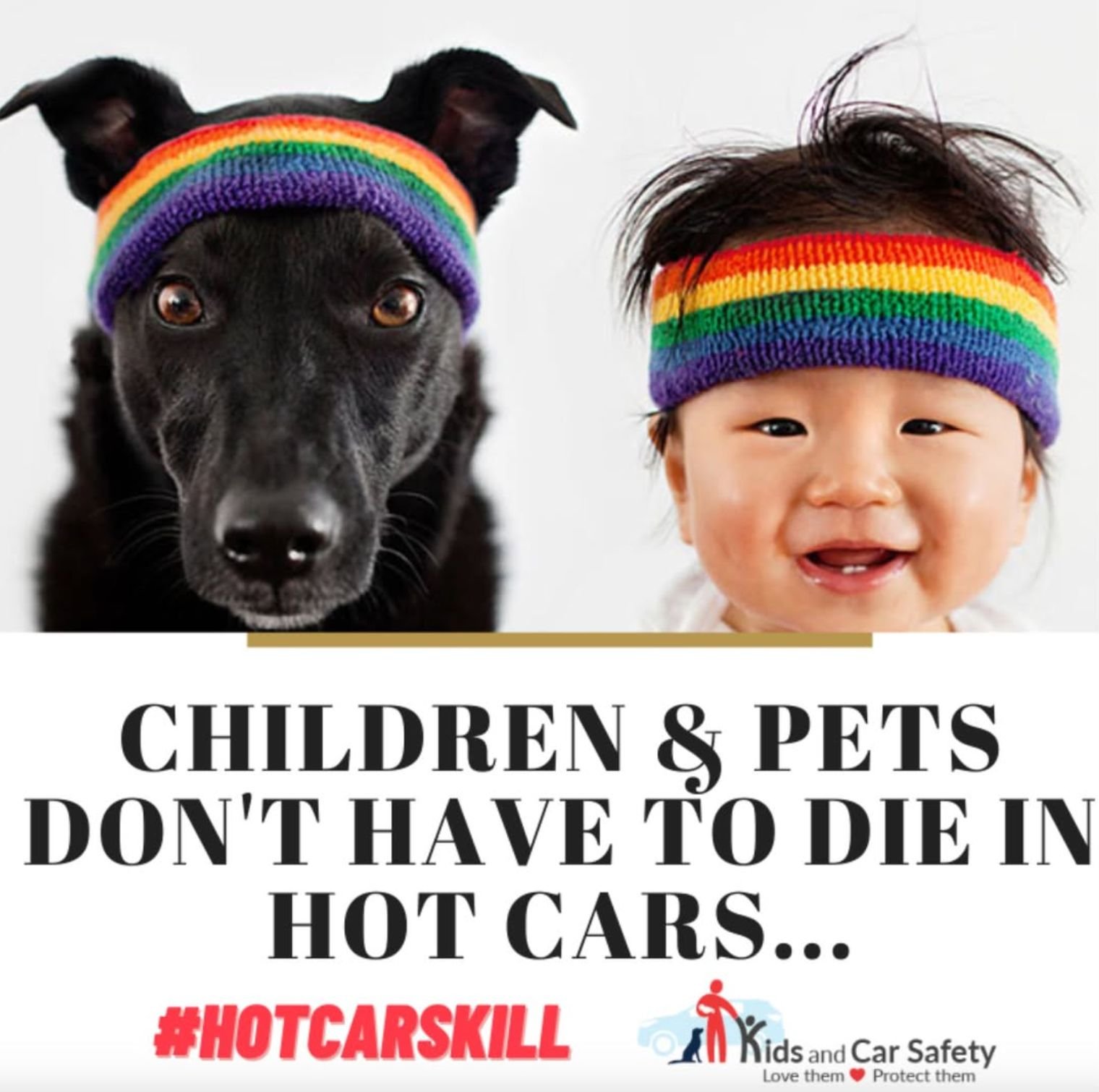 With temperatures climbing to record heights, it's important to be aware of the risk of hot car deaths and injuries! 

According to Kids and Car Safety, at least 1,109 children in the U.S. have died in hot cars since 1990. In more than half of these 