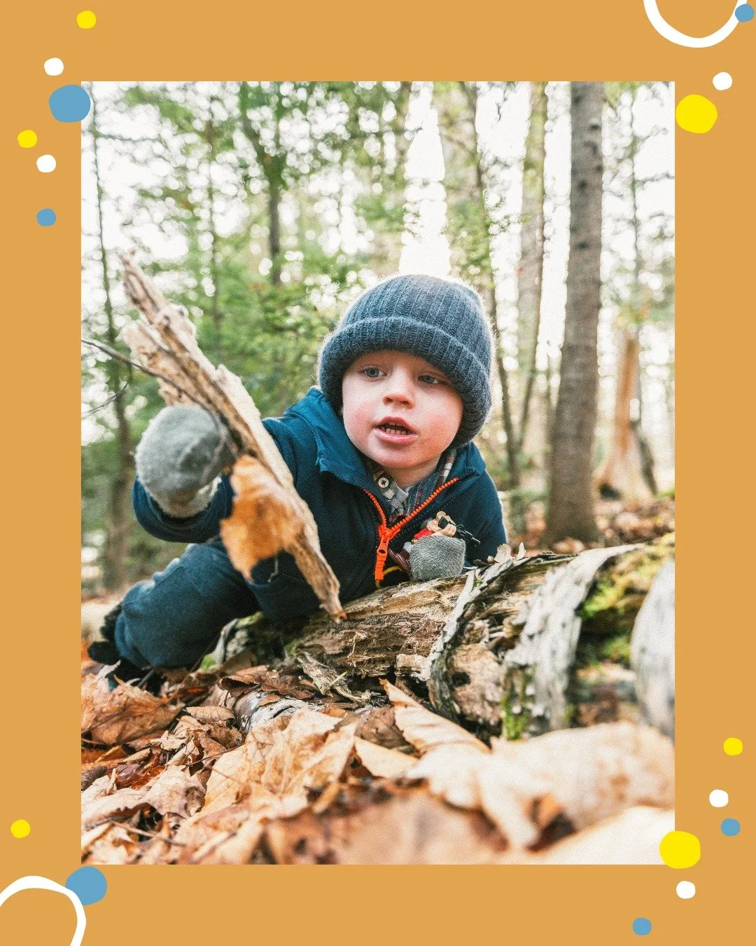 There are plenty of opportunities for caregivers and providers to turn daily experiences into adventures of scientific discovery for young children. 🔎🐛🌿

Some ways to teach children about the world around them and inspire them to learn more includ
