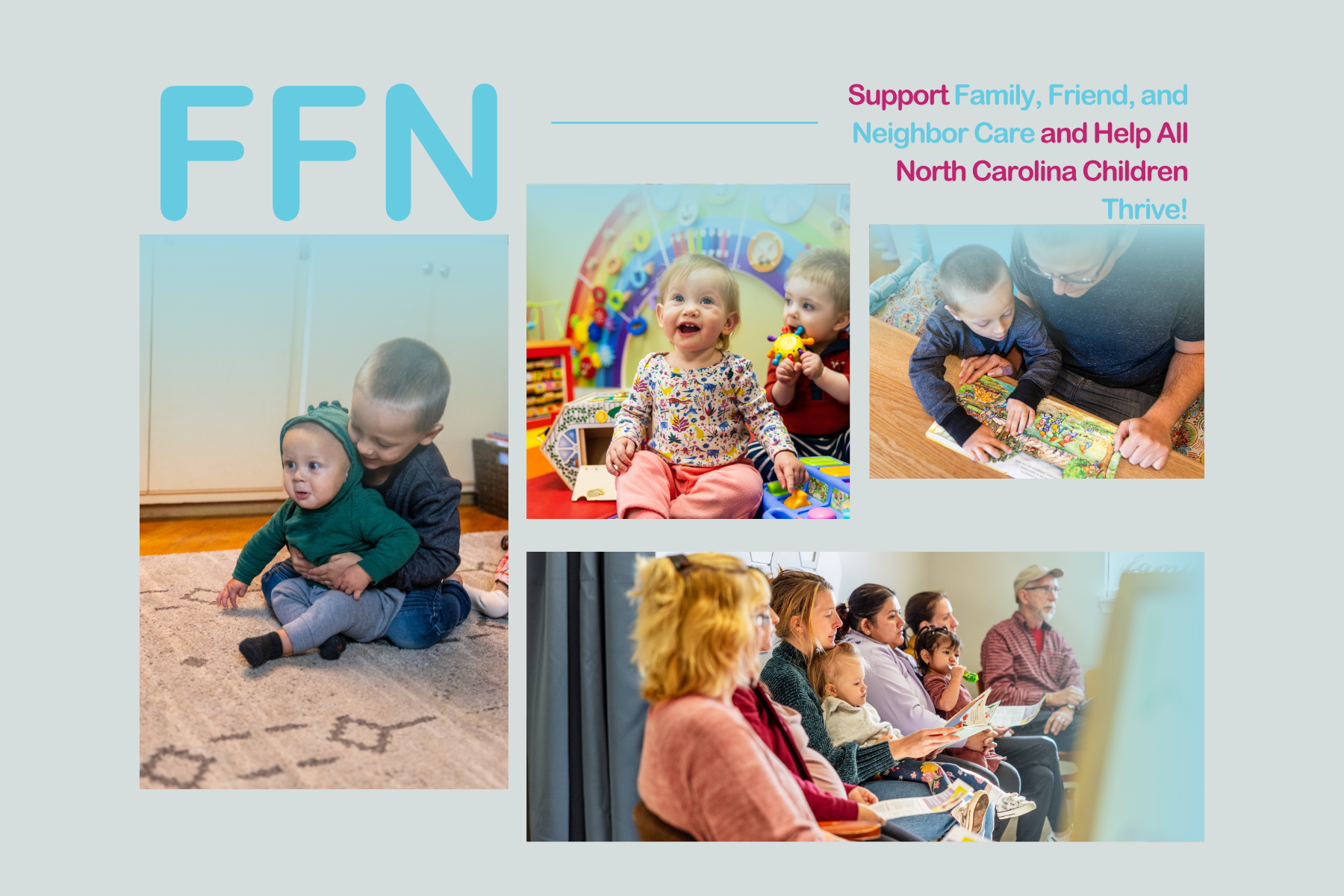 FFN Care in WNC: Research Summary