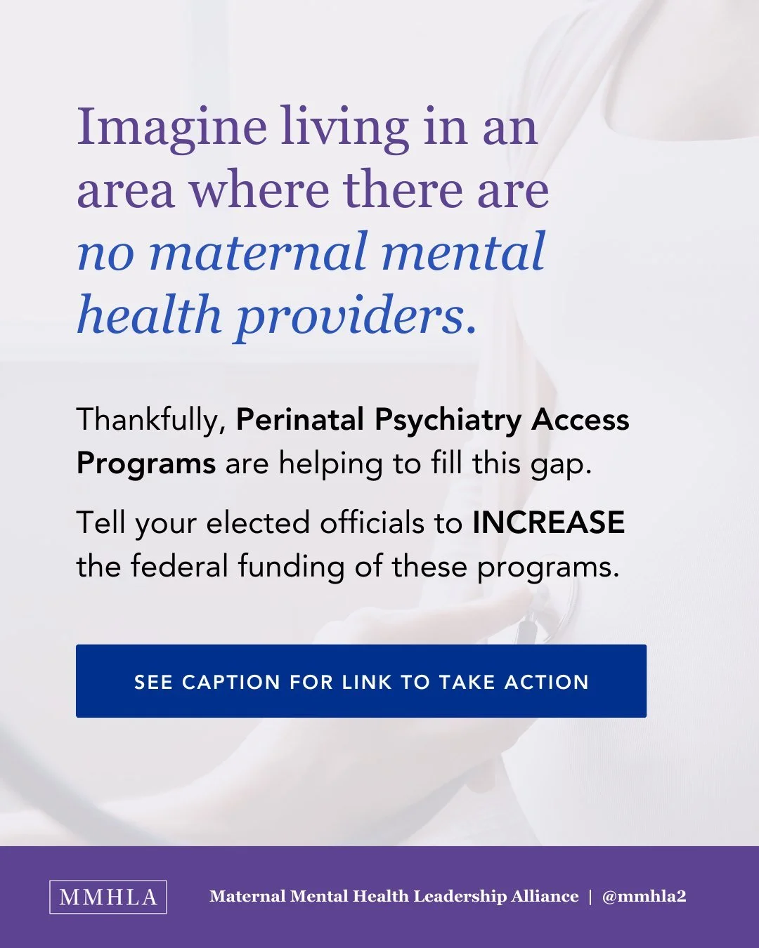 Perinatal Psychiatry Access Programs are state-based consultation networks where healthcare providers can get expert guidance on how to treat their patients who are suffering from maternal mental health conditions.

On this year&rsquo;s National Day 