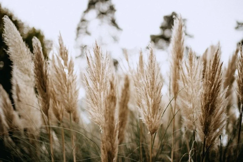 Resilienz aufbauen: Geschmeidig mit Belastungen umgehen und daran wachsen