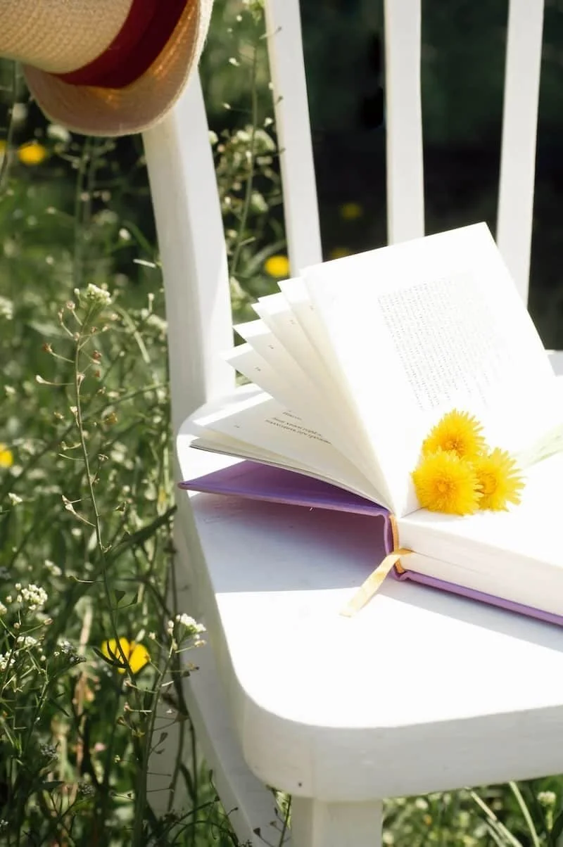Weißer Stuhl im Freien mit Sonnenhut, buch und gelben Blüten