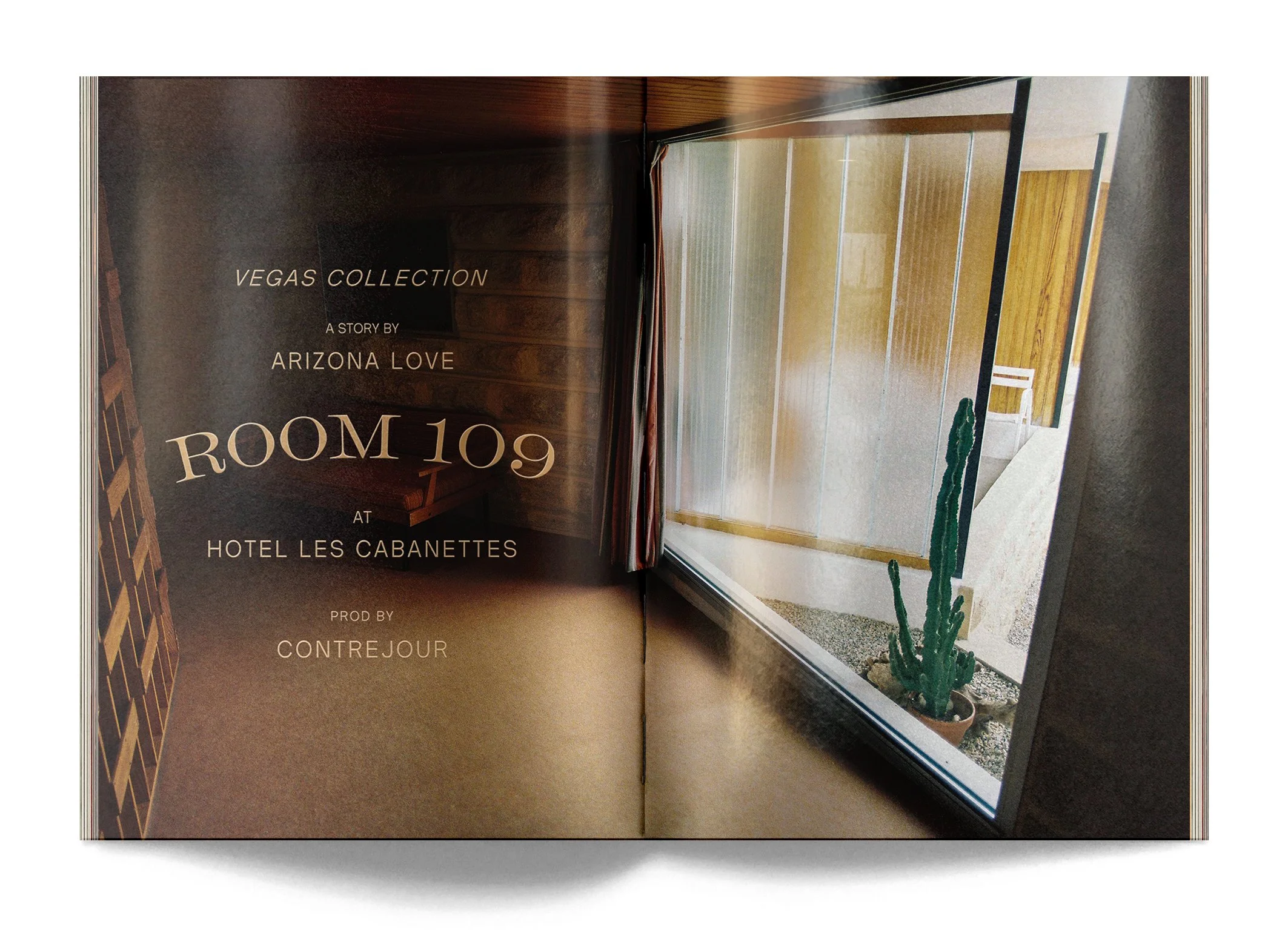 Lookbook Arizona Love