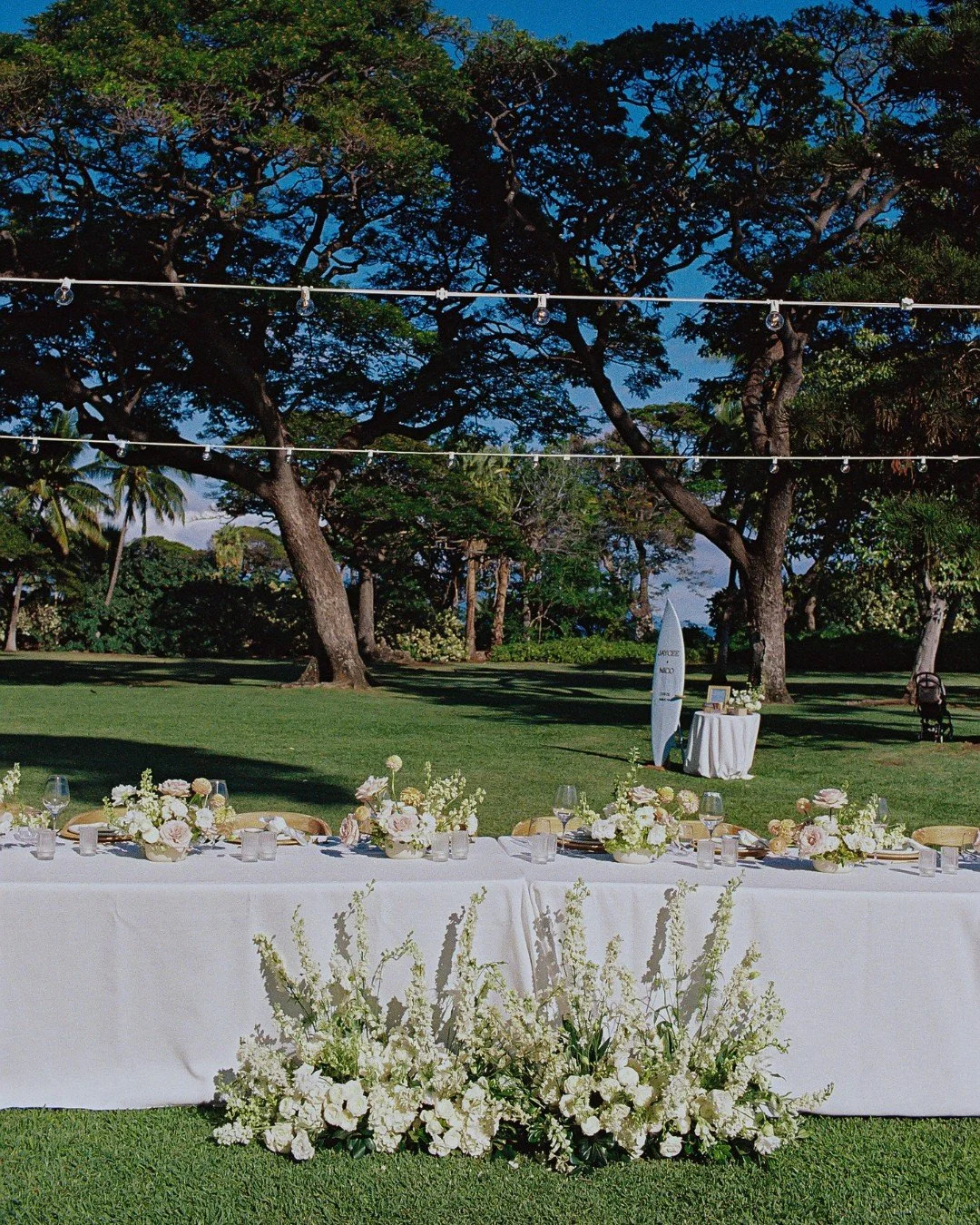 ⁠For Jaycee &amp; Nicholas, a table set for celebration. 🤍⁠
⁠
Planning: @opihilove⁠
Photography: @dmitriandsandra⁠
Content Creator: @mauisocialmedia_bts⁠
HMU: @ameliahairandmakeup @lokahicollective⁠
Flowers: @bellabloommaui⁠
Bar Service: @maui.bars⁠