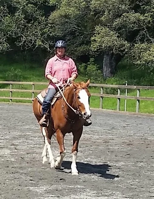 Meet the Horses — Horse ReCourse