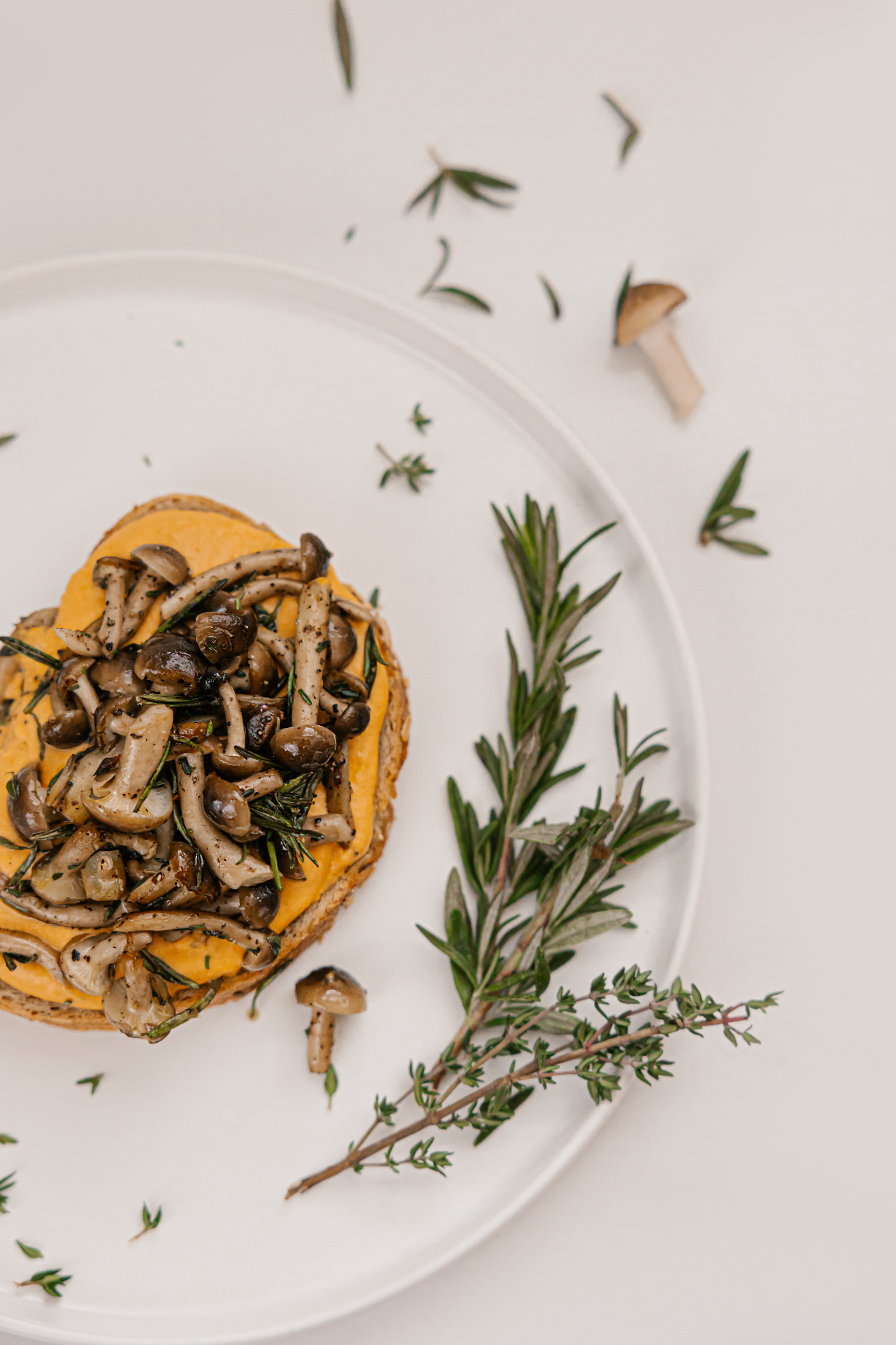 mushroom toast.png