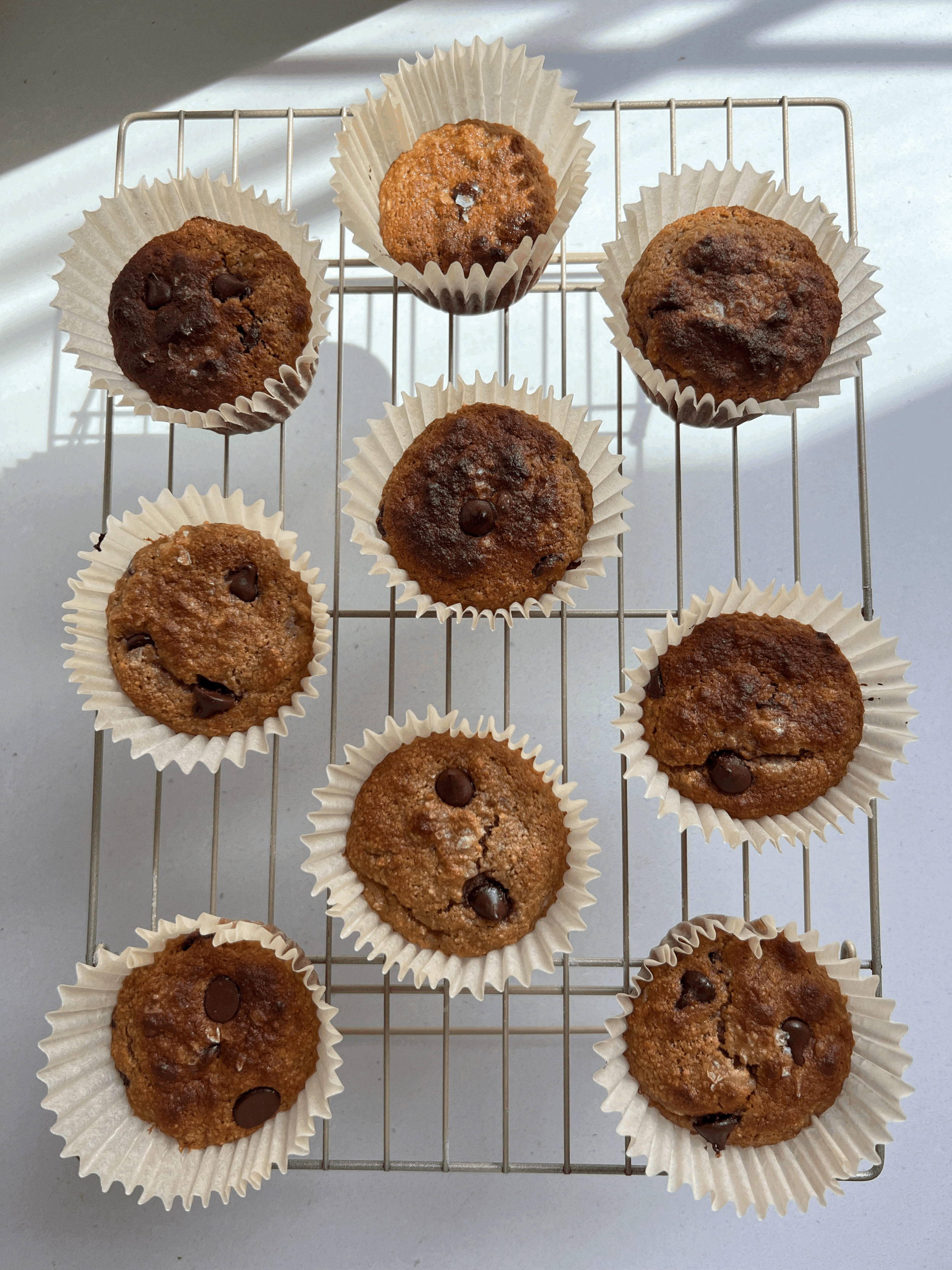 High-Protein Collagen PB &amp; Banana Chocolate Chip Muffins