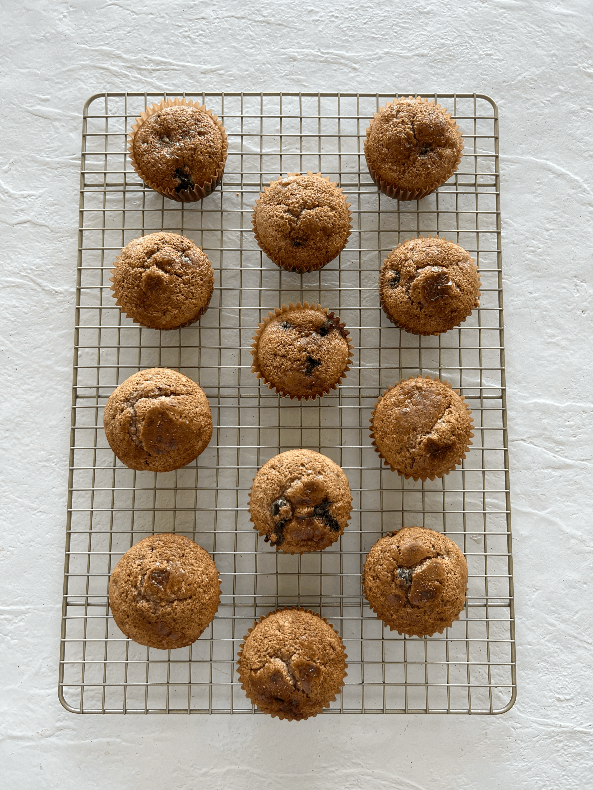 Healthy Blueberry Protein Muffins
