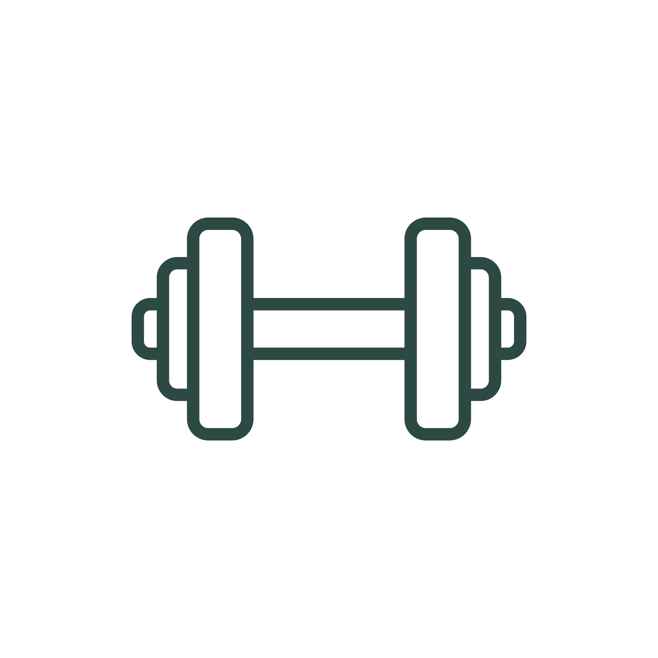 Dumbell Icon