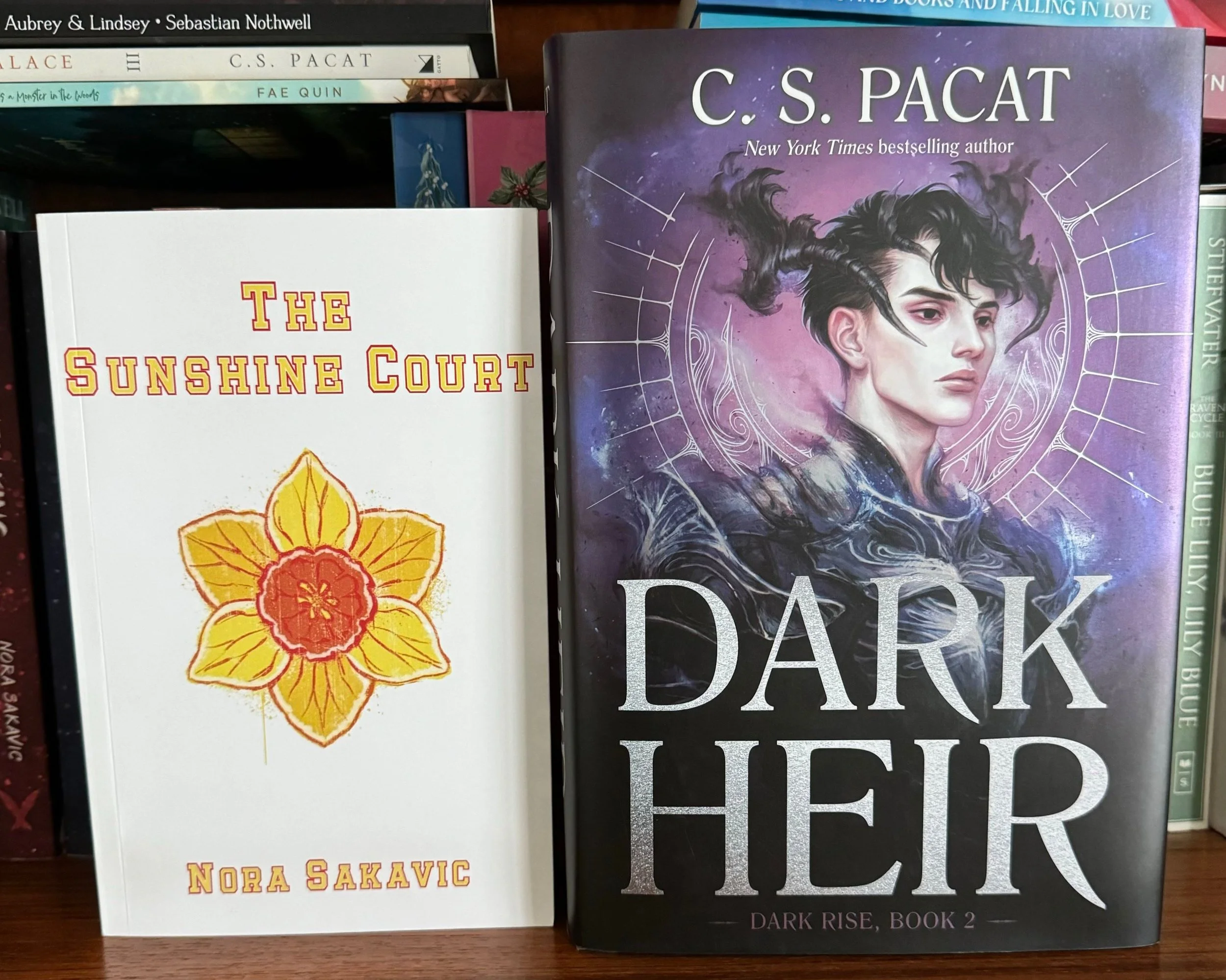 The Sunshine Court by Nora Sakavic and Dark Heir by CS Pacat