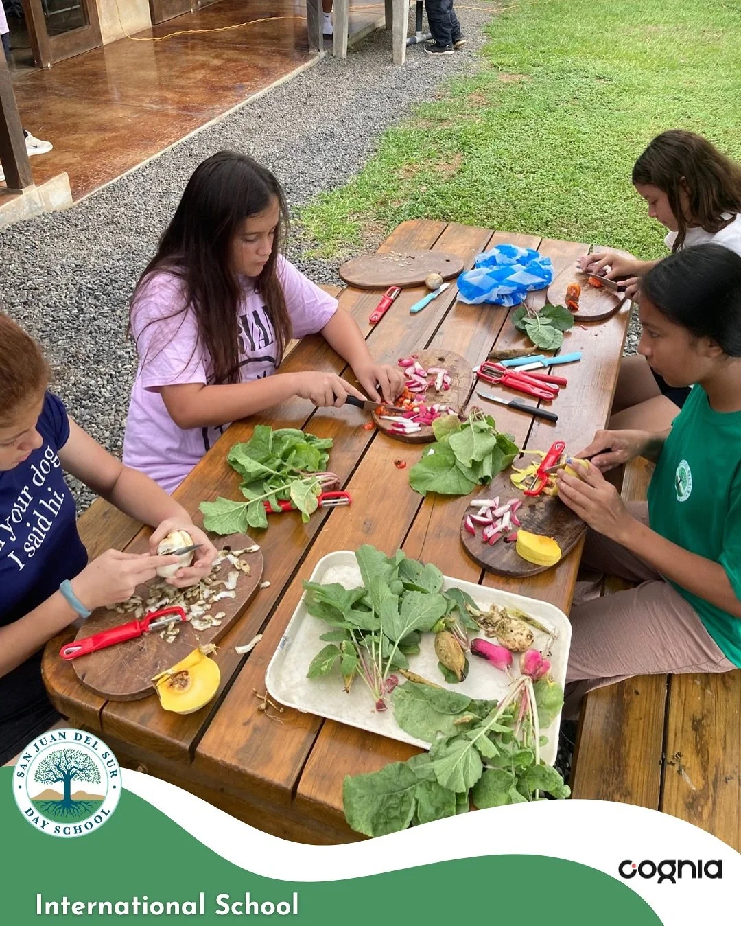 Did you know our middle school has Food Technology class? 🍅🥒🥗🥕🌽

This class goes beyond cooking&mdash;it integrates sustainability, nutrition, and practical life skills into the academic experience. Students strengthen fine motor coordination, l