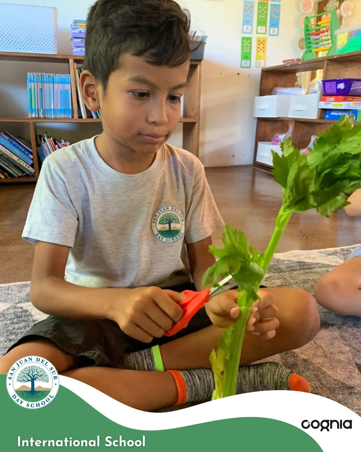 First graders explored how plants absorb water using a classic celery experiment.🪴Seeing the colors rise through the stem helped them understand how roots and stems work together.

Hands-on learning makes big ideas feel simple, real, and exciting!

