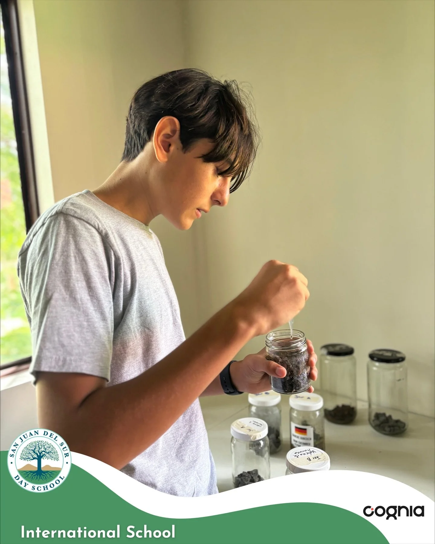 The Grade 9/10 Environmental Science class is working on an extended lab task in which they&rsquo;re modeling ecosystem changes that occur after a volcanic eruption. This task is allowing students to model scientific theory and build on their practic