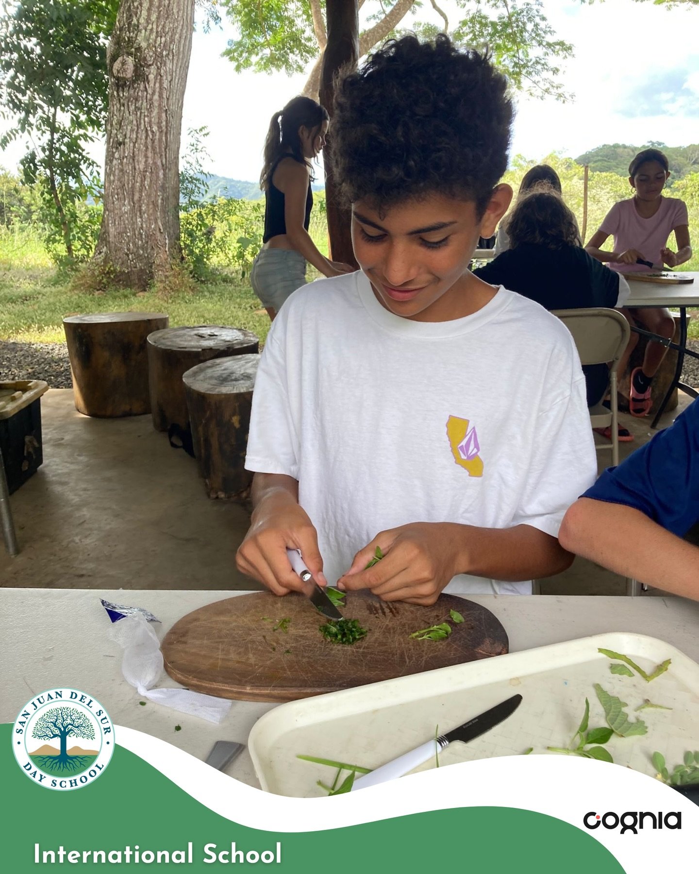 Fresh from the garden to the classroom! 🌱Students in Food Technology prepared their own garlic &amp; herb butter using ingredients they harvested from our school gardens. 🧈

👉 Discover more of what students create at San Juan del Sur Day School.

