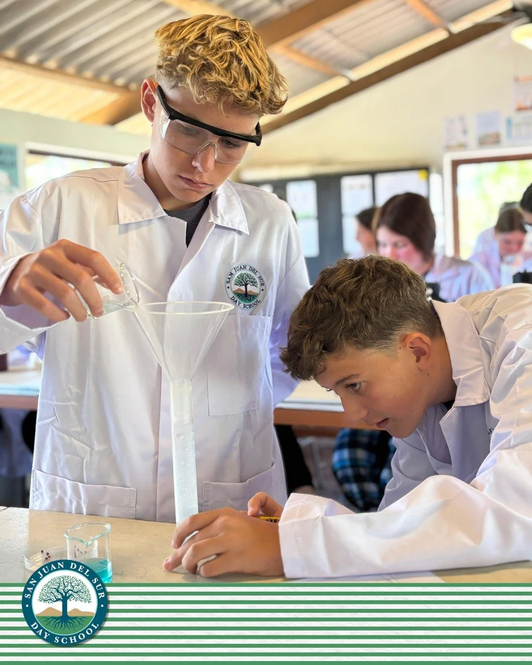 This week, our Grade 9/10 students continued their unit on pollution by setting up a lab to investigate how non-biodegradable pollutants affect plant growth. Through real-world scientific inquiry, our students are building critical thinking skills wh