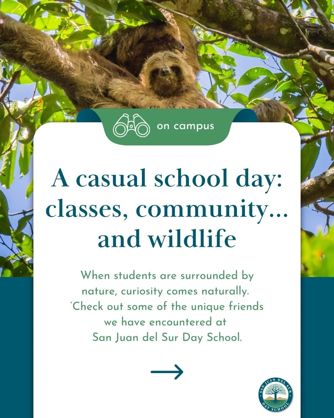 Not something you find in a textbook.
Just another day on campus.
Thinking about exploring what school can be when nature is part of it? Let&rsquo;s talk.
Click the link in our bio to learn more.&nbsp;

#nature #wildlife #greenschool #internationalsc
