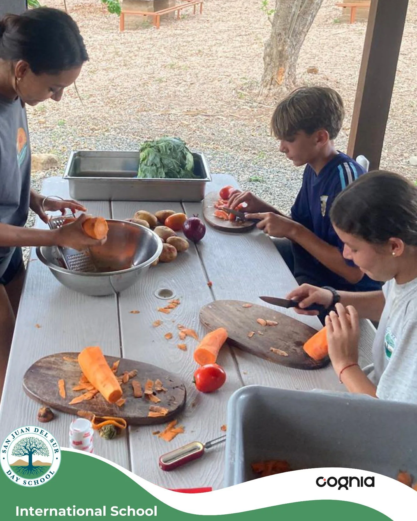 During an overnight camp at school, Middle School Outdoor Education students cooked together, built a fire, hiked, observed local wildlife, created art on the beach, and spent the night camping outdoors. 

Beyond the adventure, experiences like these