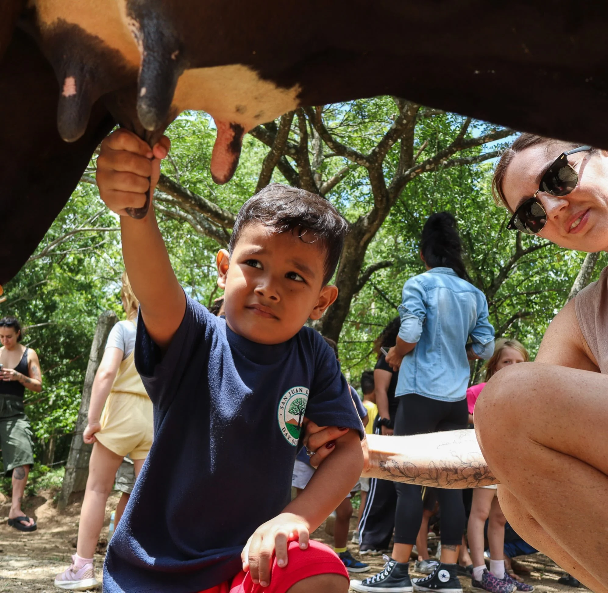 When your school sits on a working organic farm, learning opportunities are all around you.

Last week, our Early Childhood students took a 5-minute walk from their classroom to the stables. There, they had the chance to try their hand at milking a c