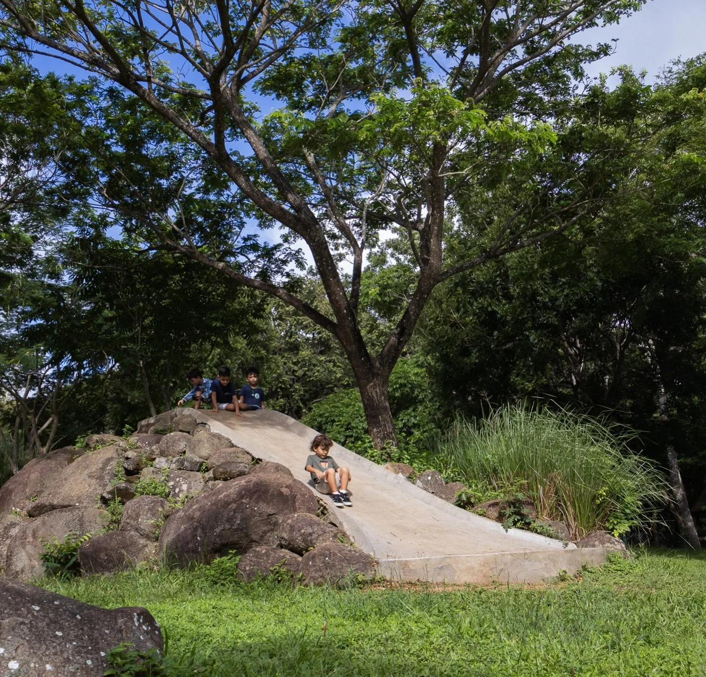 School, with a whole lot of room to be a kid.

For those who believe rigorous learning and serious play belong in the same day, San Juan del Sur Day School has the best of both worlds.

A jungle campus on a working organic farm, 10 acres to roam, and