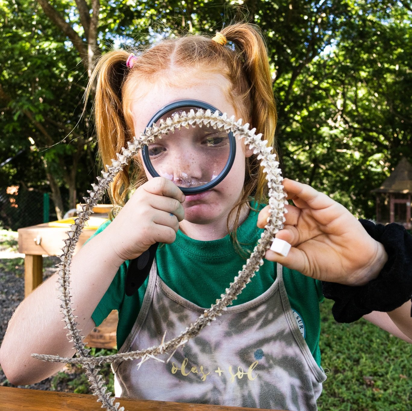 How old is it? What is it? Where did it come from? Kindergartners had plenty of guesses!

After learning about fossils in their classroom, students took the lesson outdoors, where a vast collection of fossil and bone specimens awaited them on a picni