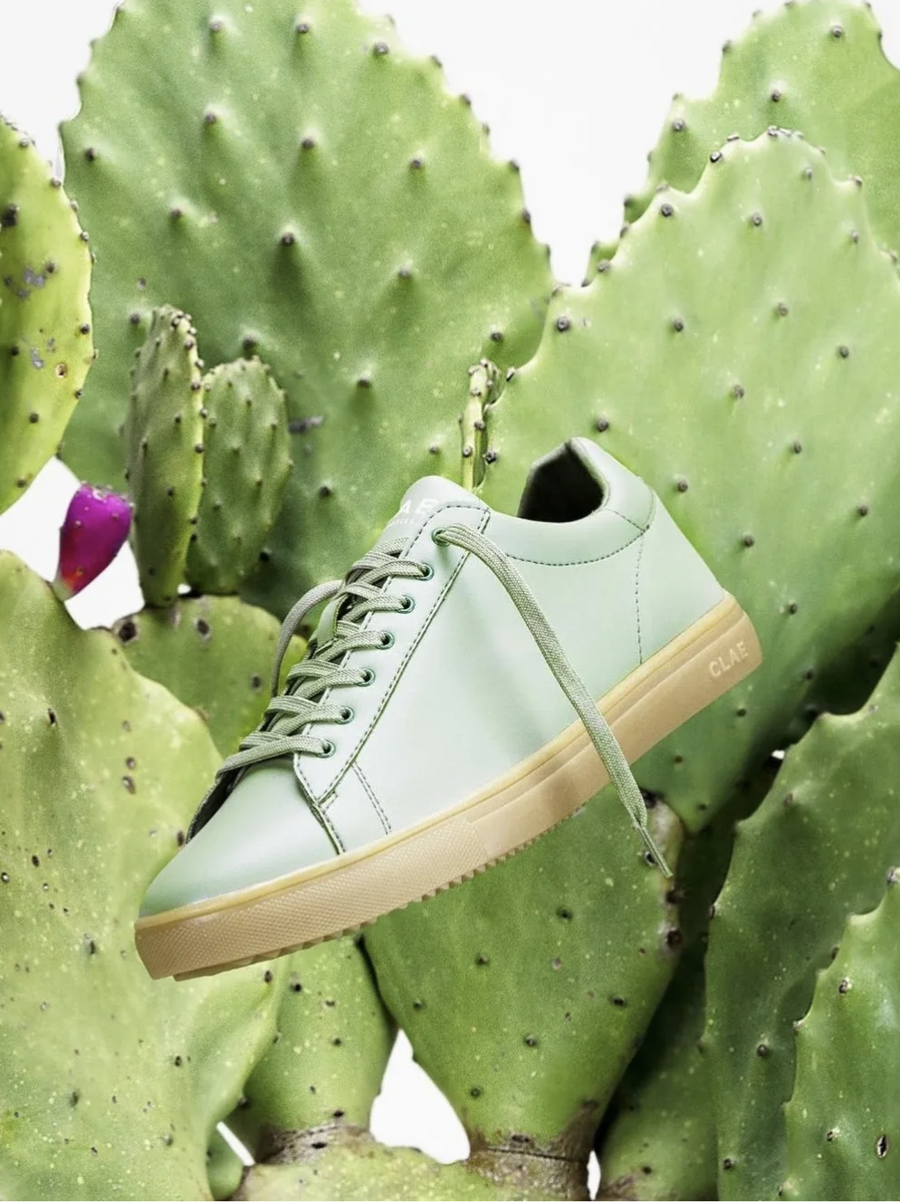 CLAE sneakers made with Desserto vegan leather