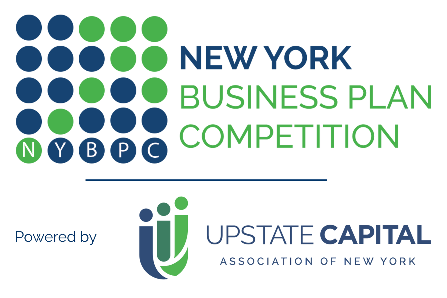 NYSBIZPLAN.png