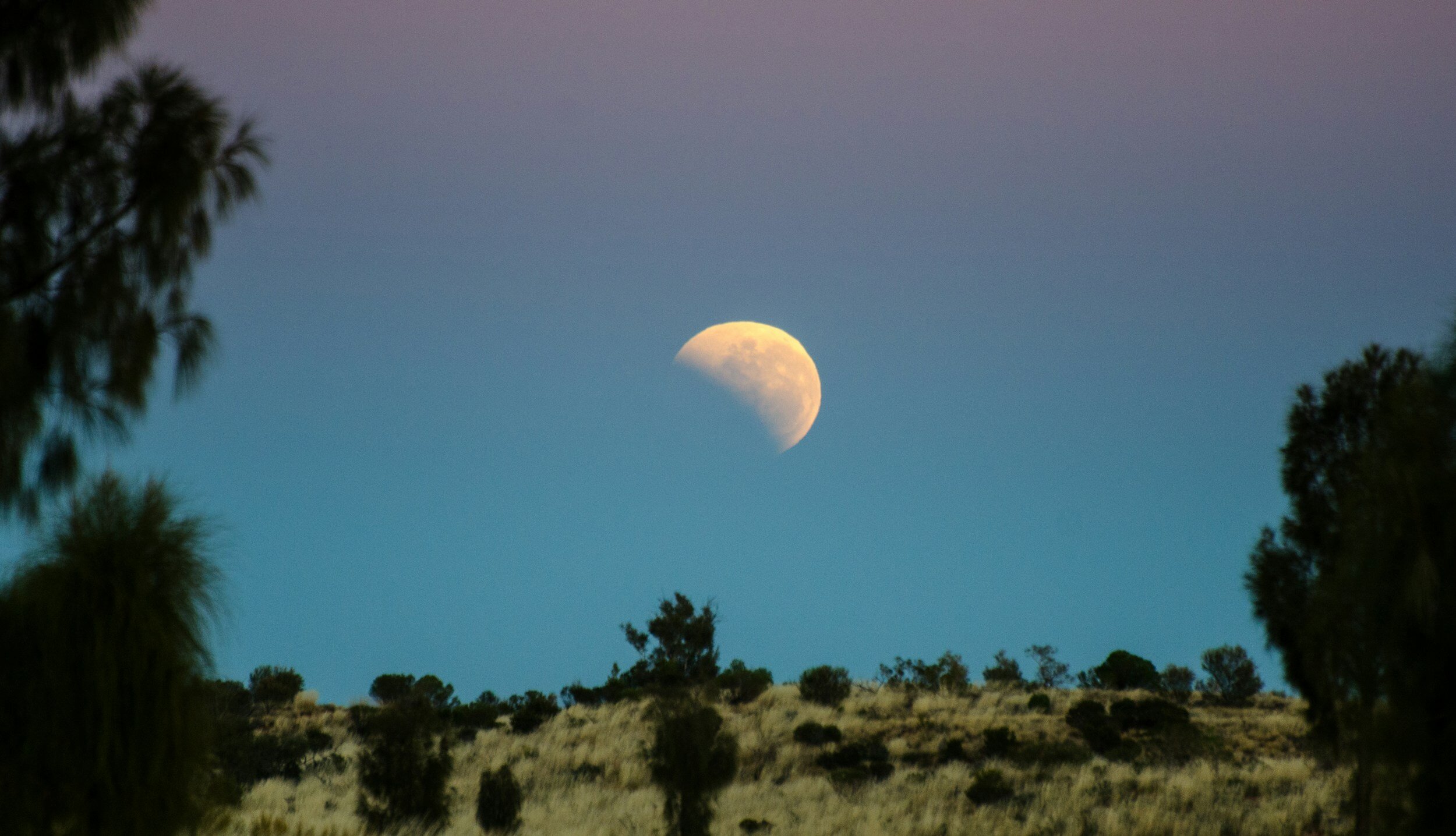 Moon Gardening