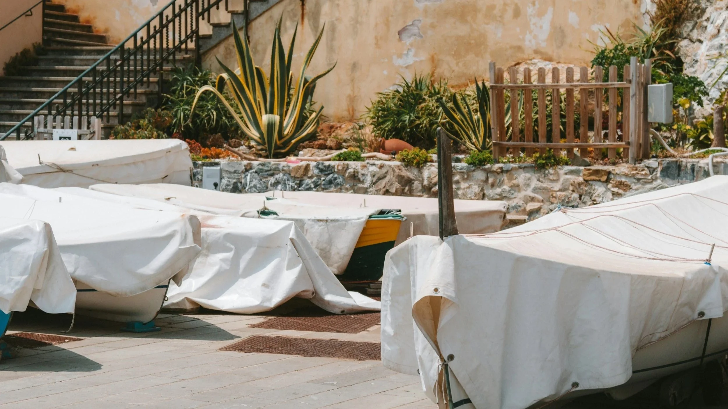 covered plants in Florida for freeze. trauma and eating disorder therapy blog