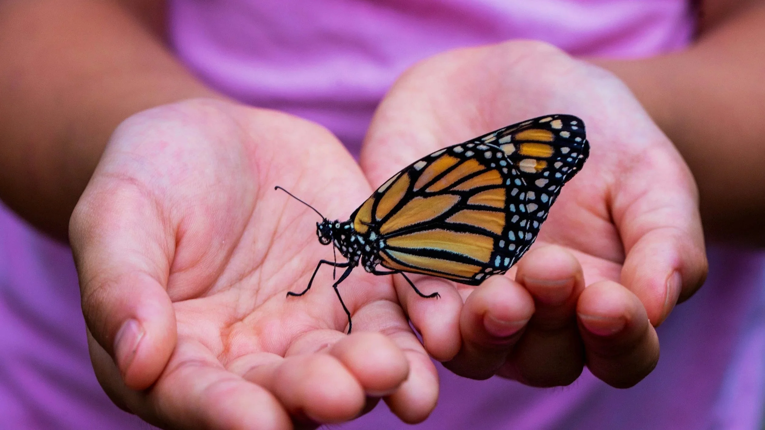 Customizing Therapy Intensives for Your Individual Healing Journey