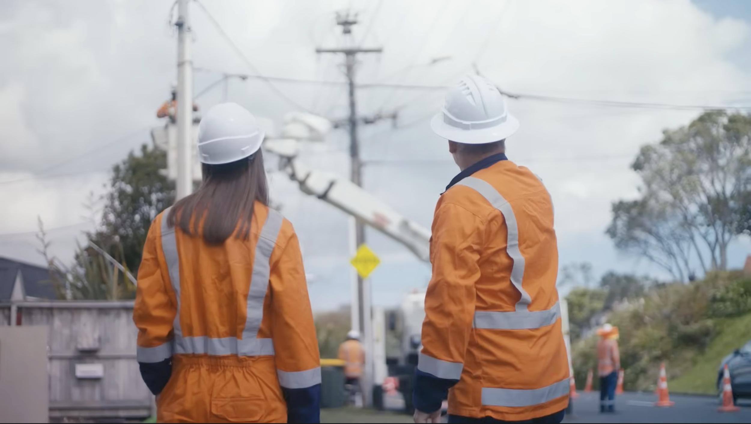 Tapestry and Vector: AI for New Zealand Power Grid