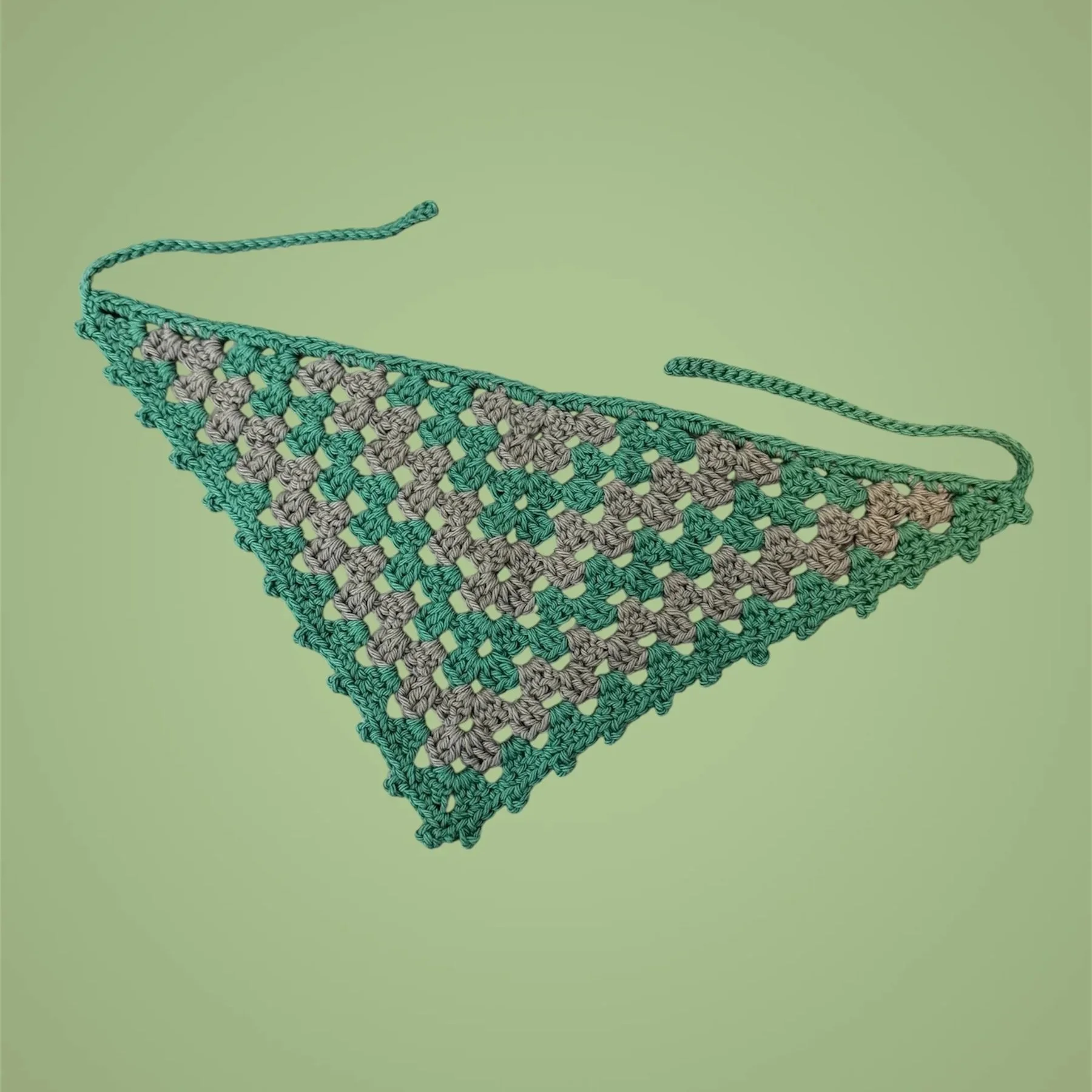 Eagles Granny Bandana